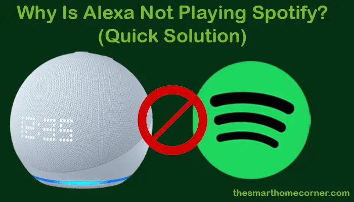 Why Is Alexa Not Playing Spotify?
