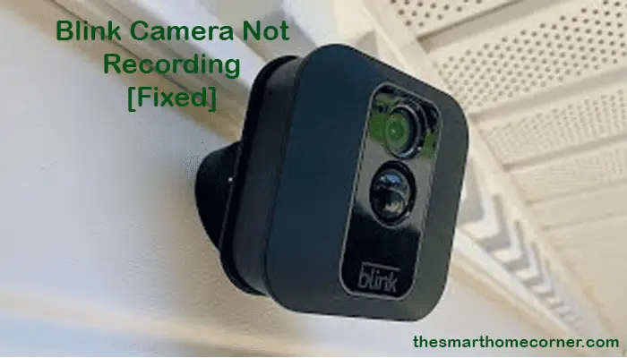 Blink Camera Not Recording