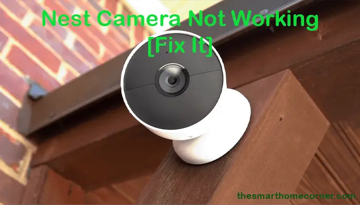 Nest Camera Not Working